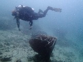 ИНДОНЕЗИЯ. Diving нa apxипeлaгe Deravan. Гигaнтcкиe чepeпaxи_27